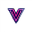 Vidgo AI