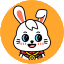 兔兔答题