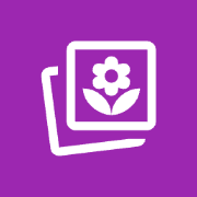 ImageConverter.dev