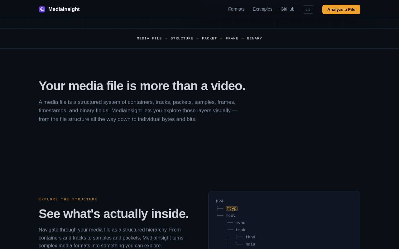 MediaInsight 截图 2