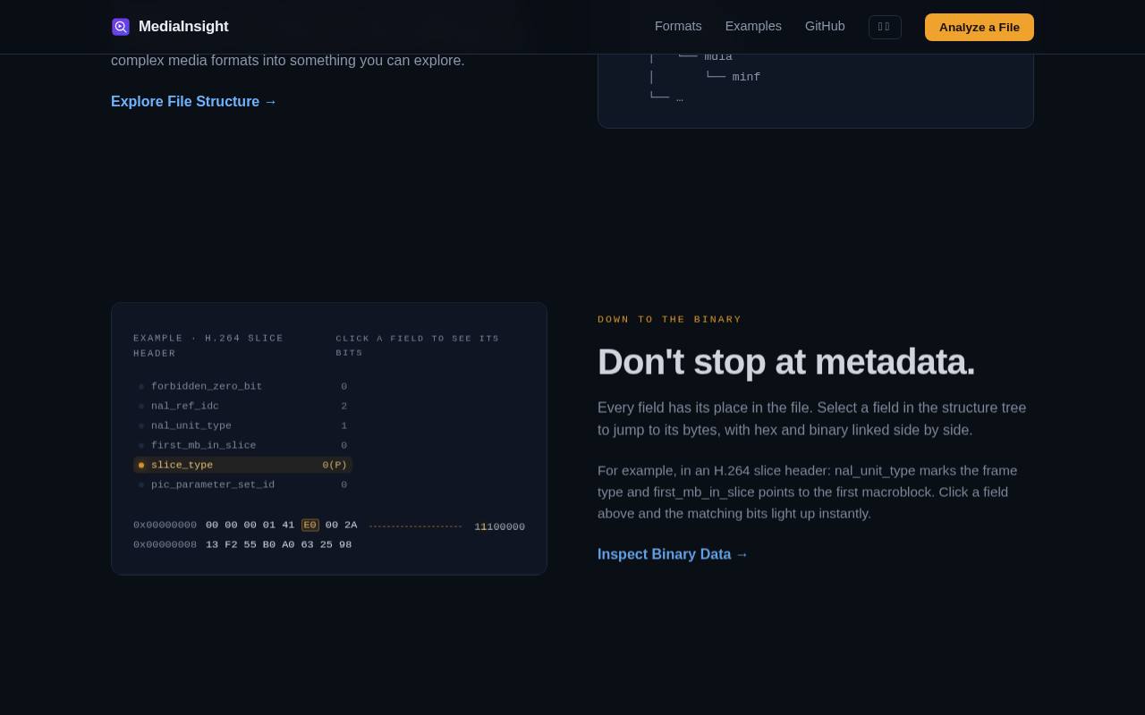 MediaInsight 截图 3